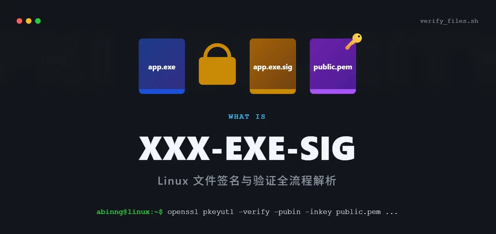 xxx.exe.sig是什么